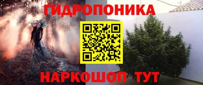индика Гуково