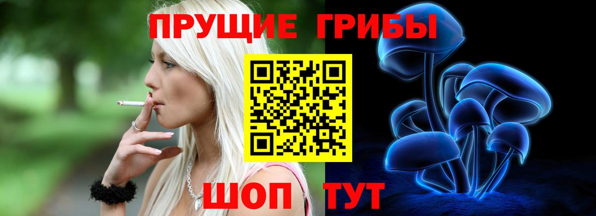 Выборг  Псилоцибиновые грибы MAGIC MUSHROOMS  Вход с VPN 